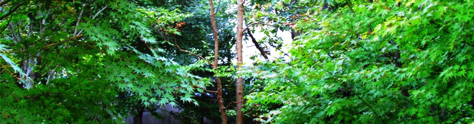 コンセプト、ヤマ造園（ヤマゾウエン）は心の和むガーデンライフを提供します。
