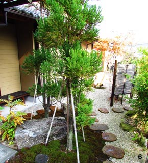 玄関前は常緑樹の植栽が主となります。